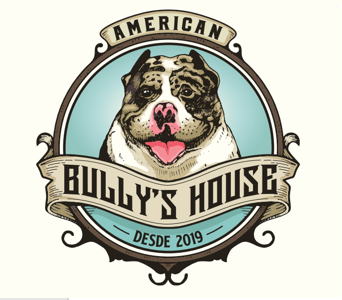 Bully_s House
