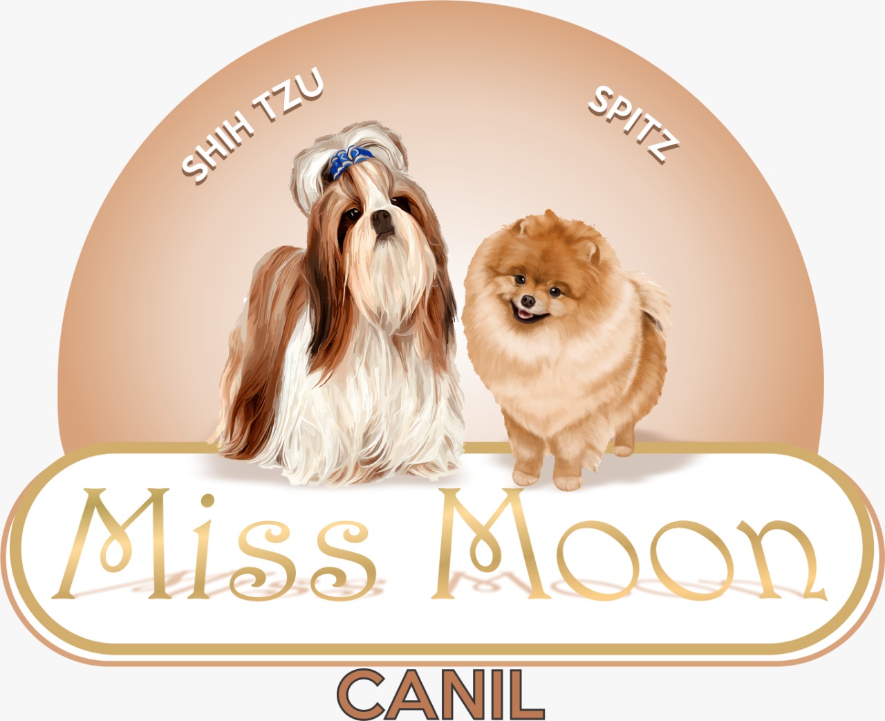 Canil Miss Moon