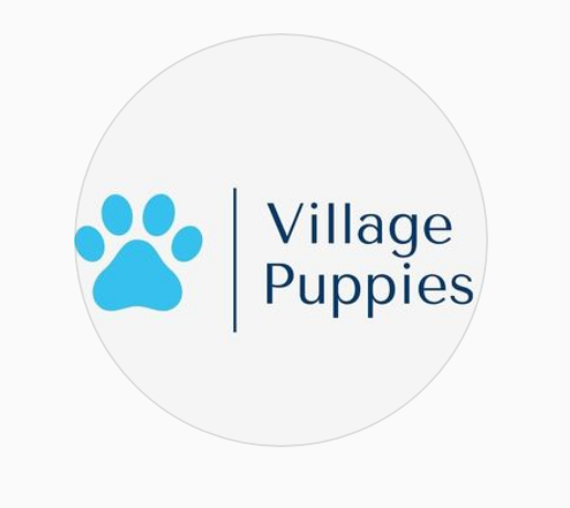 Canil Villa Puppies Vicor