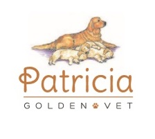 Patricia Golden vet