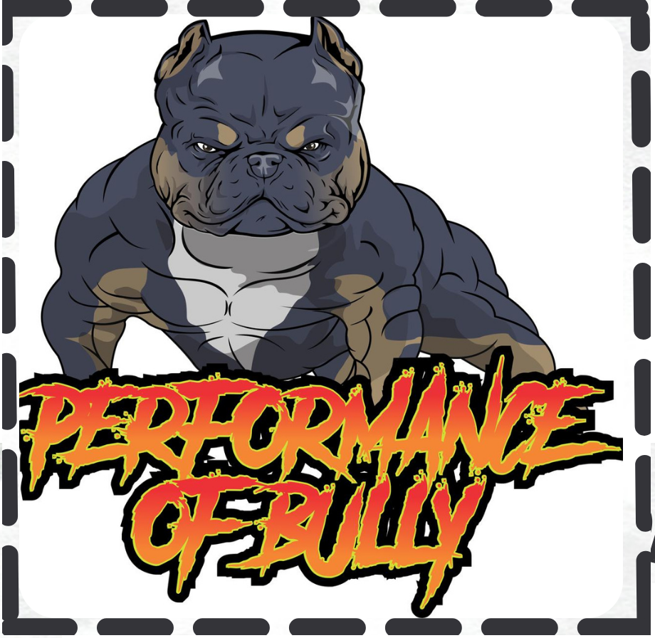 Performance of bully (1)